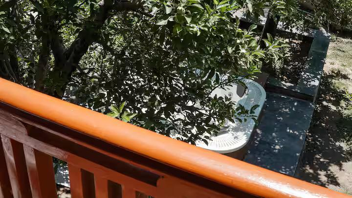 Rare Find : 3-Room with Living Area x Solis Nature Rare Find : 3-Room with Living Area x Solis Nature