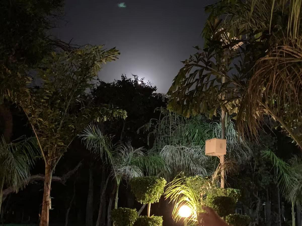 Beri Farm- A 5★ natural haven in Manesar x Solis Nature