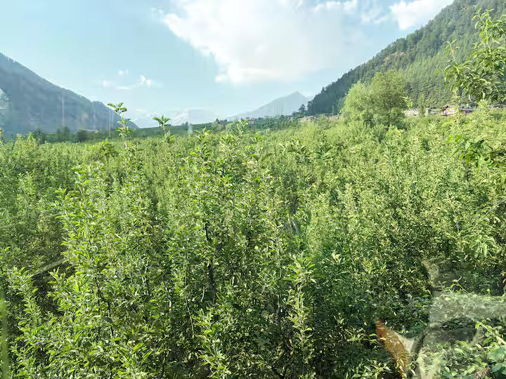Panoramic Applefield View Room with Wind x Solis Nature Panoramic Applefield View Room with Wind x Solis Nature
