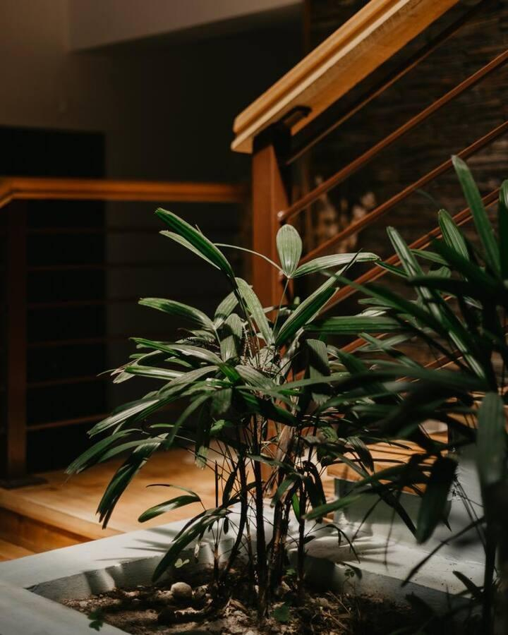 Most romantic cozy room in Manali x Solis Nature Most romantic cozy room in Manali x Solis Nature