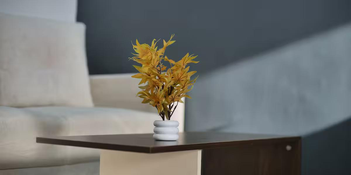 Peaceful apartment -  scenic Dehradun x Solis Nature Peaceful apartment -  scenic Dehradun x Solis Nature