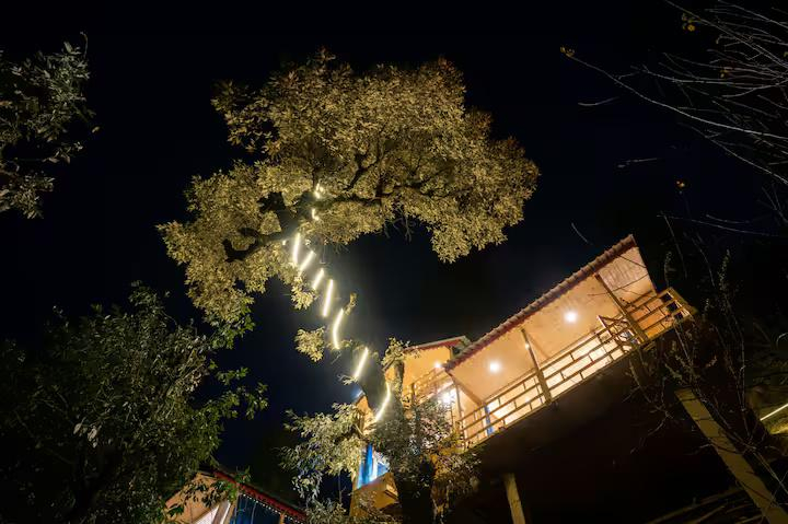 Intothewoods2 | Treehouse | Jibhi x Solis Nature Intothewoods2 | Treehouse | Jibhi x Solis Nature
