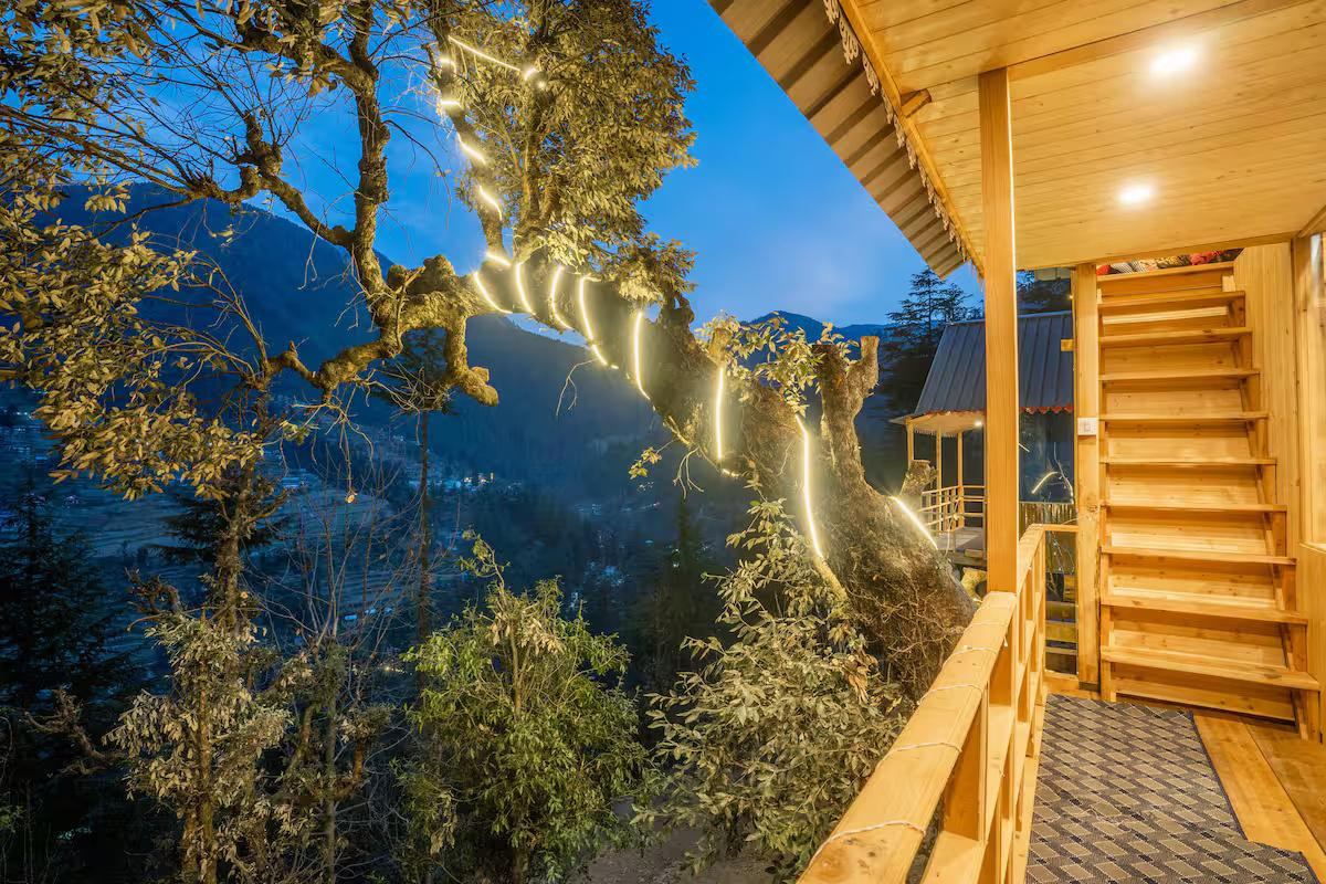 The Wooden Nest x Solis Nature The Wooden Nest x Solis Nature