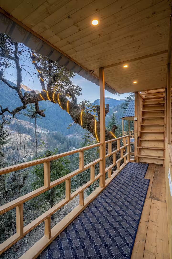The Wooden Nest x Solis Nature The Wooden Nest x Solis Nature
