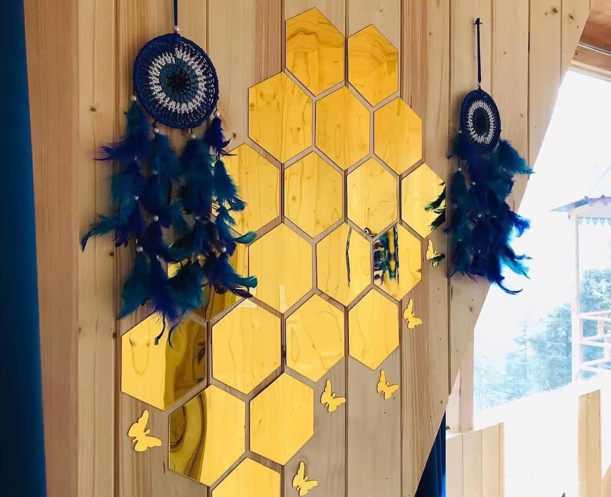 The Wooden Nest x Solis Nature The Wooden Nest x Solis Nature