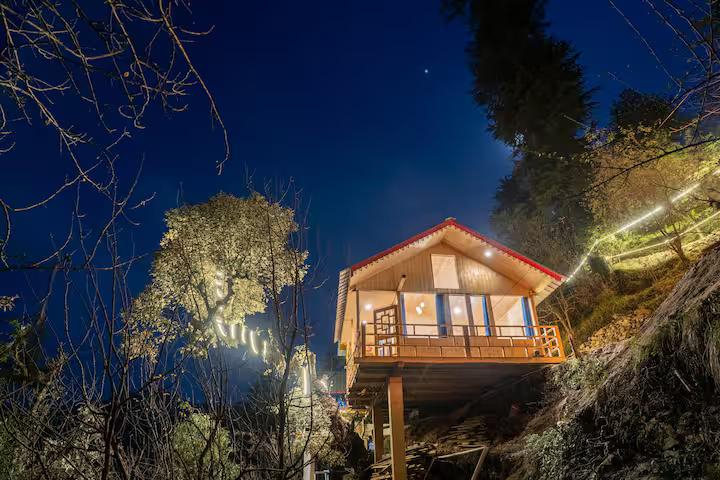 The Wooden Nest x Solis Nature The Wooden Nest x Solis Nature