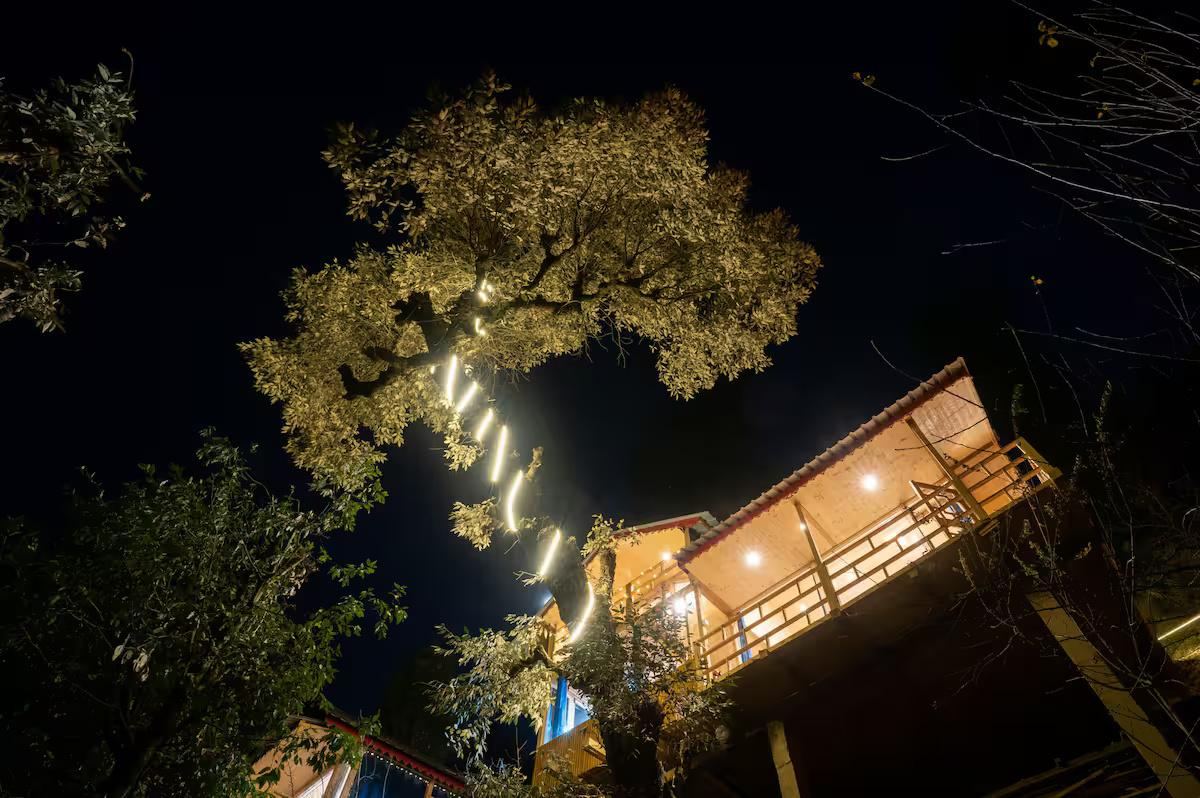 The Wooden Nest x Solis Nature The Wooden Nest x Solis Nature