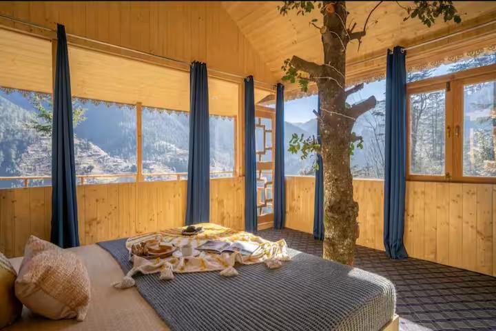 The Wooden Nest x Solis Nature The Wooden Nest x Solis Nature