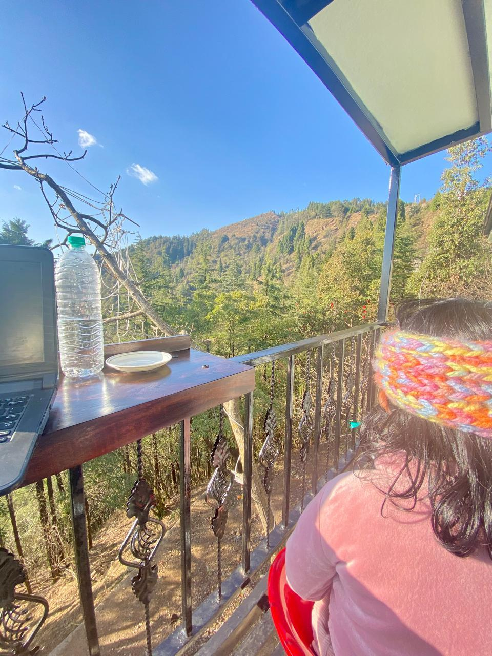 Nest x Solis Nature Nest x Solis Nature