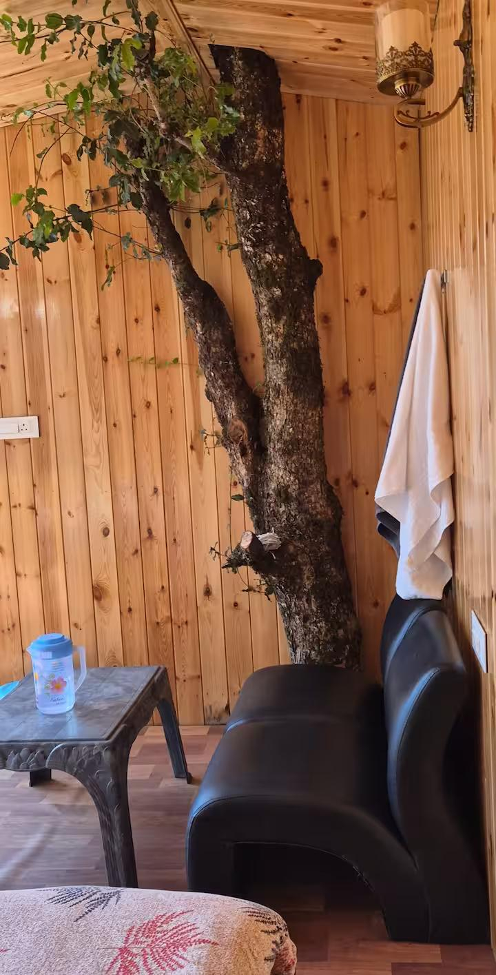 Bablu's Tree house x Solis Nature Bablu's Tree house x Solis Nature