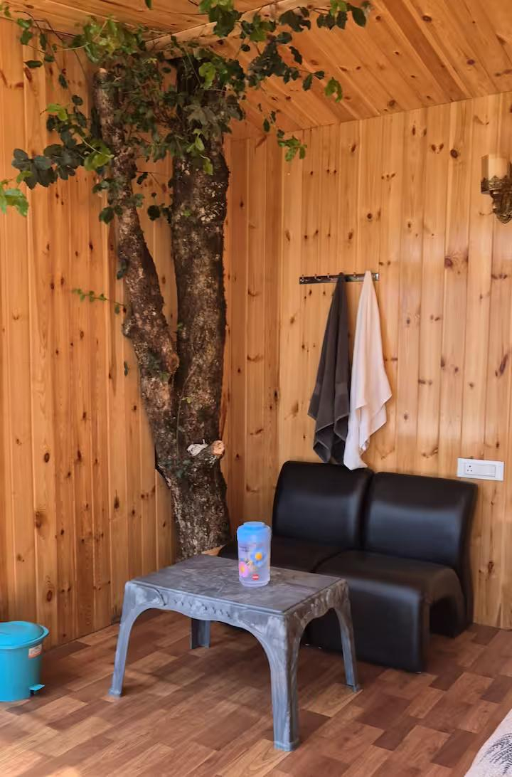 Bablu's Tree house x Solis Nature Bablu's Tree house x Solis Nature