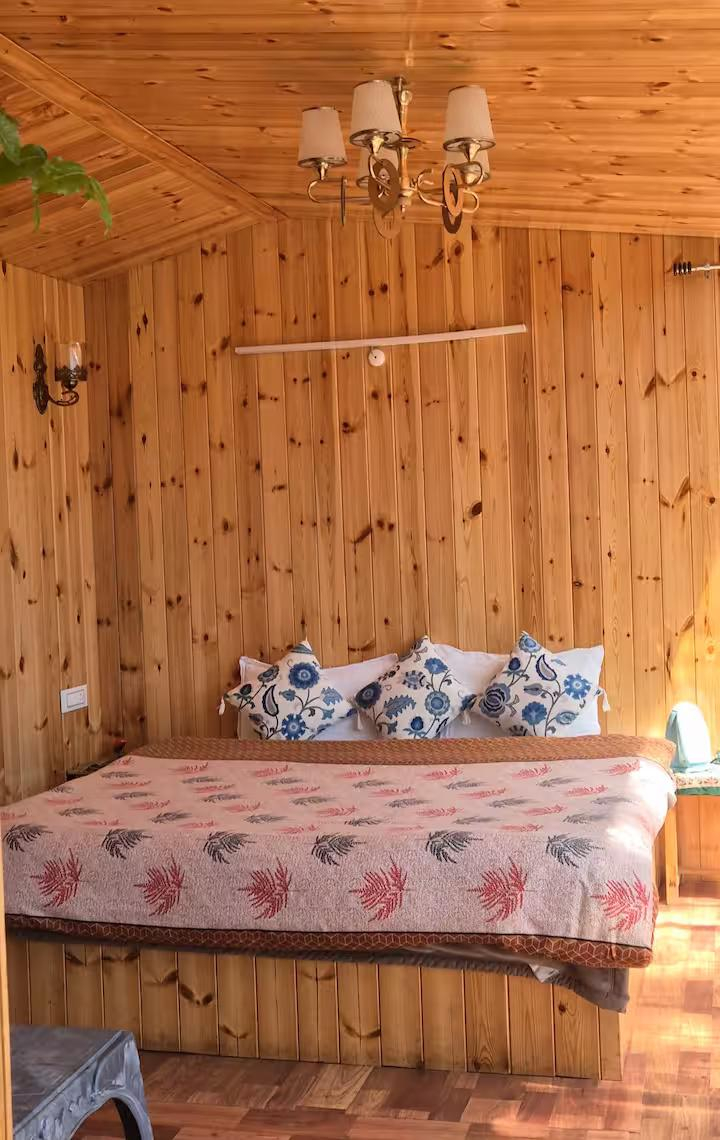 Bablu's Tree house x Solis Nature Bablu's Tree house x Solis Nature