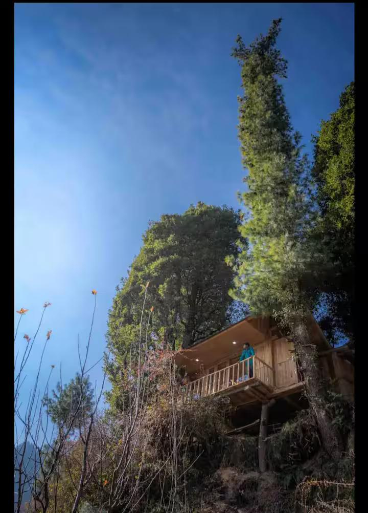 Rustic Treehouse Tandi x Solis Nature