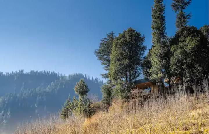 Rustic Treehouse Tandi x Solis Nature Rustic Treehouse Tandi x Solis Nature