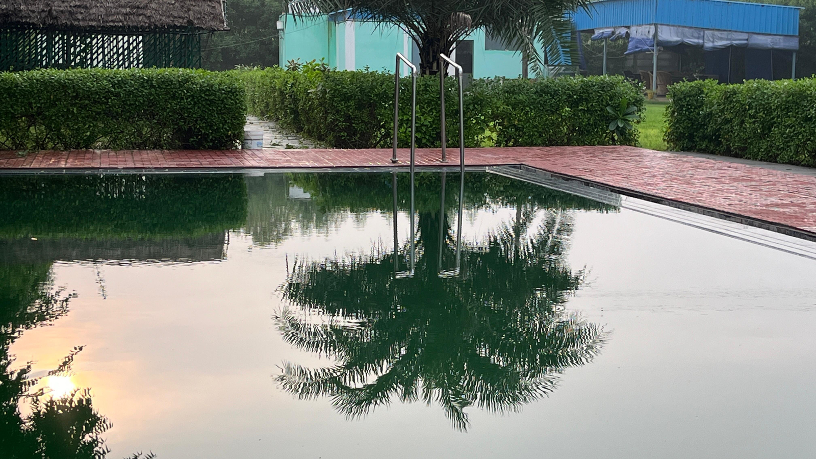 Brasa Villa x Solis Nature