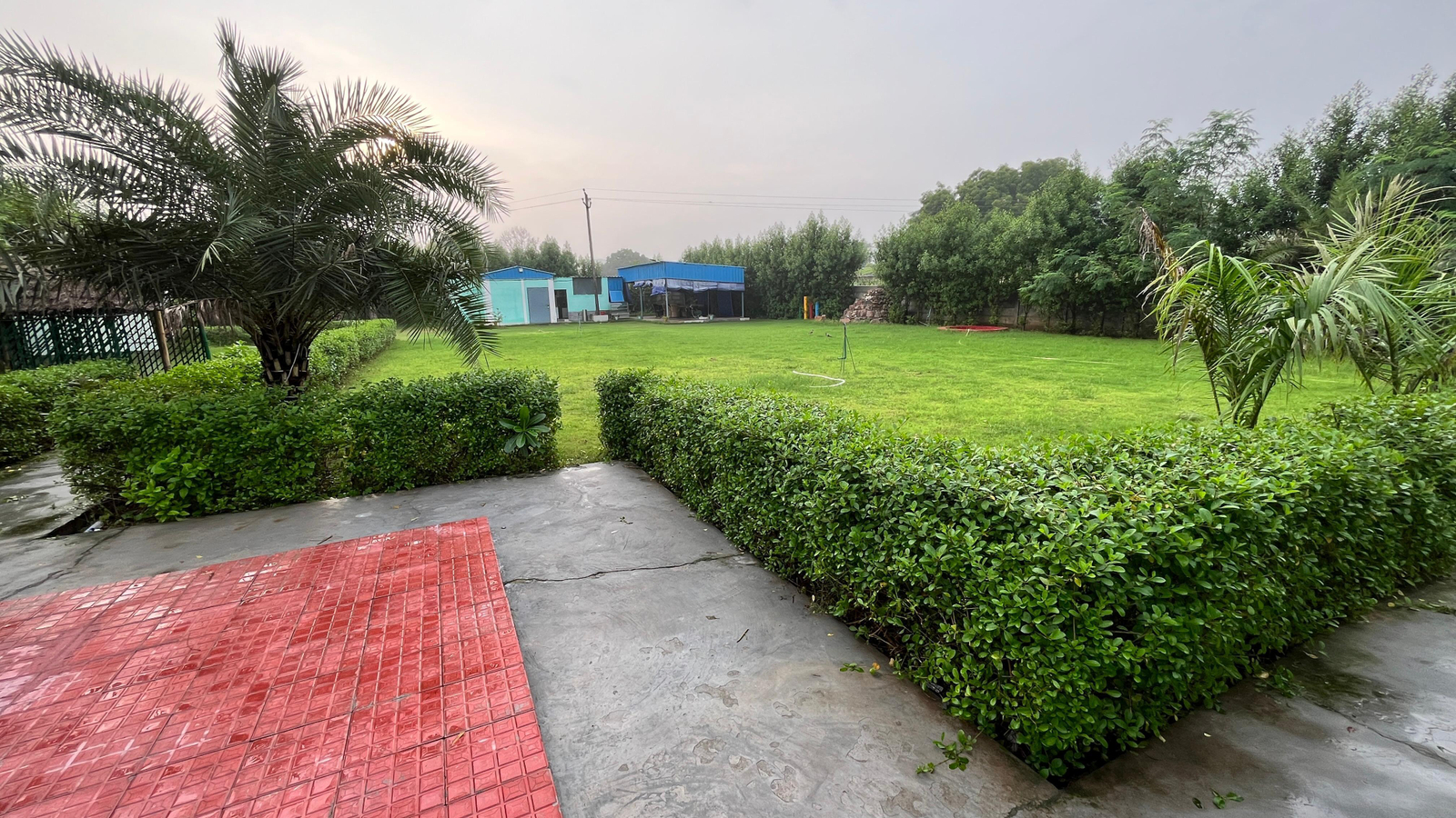Brasa Villa x Solis Nature