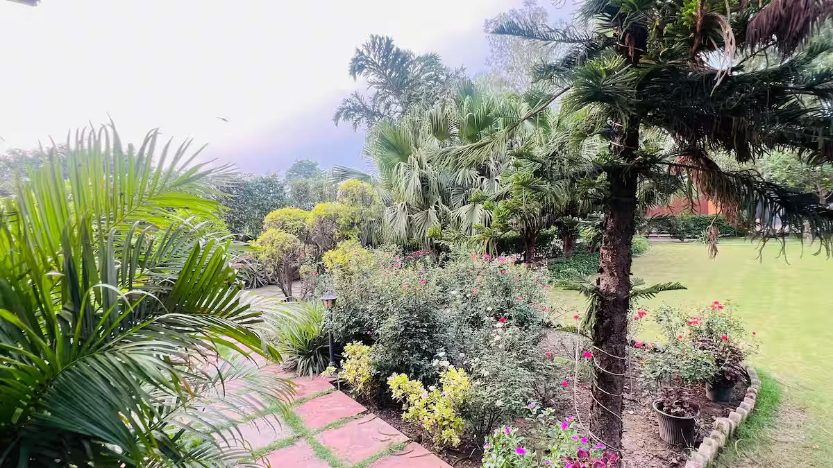 Ultimate Farm Getaway x Solis Nature