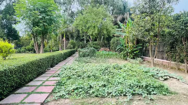 Ultimate Farm Getaway x Solis Nature