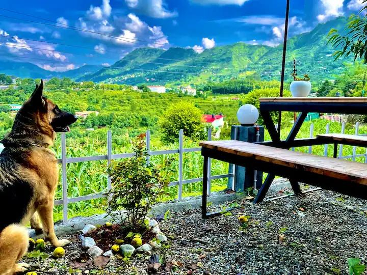 A frame cottage at Naukuchiatal x Solis Nature