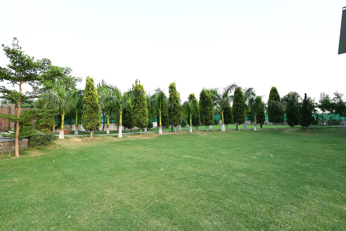Luxury Property in Noida x Solis Nature
