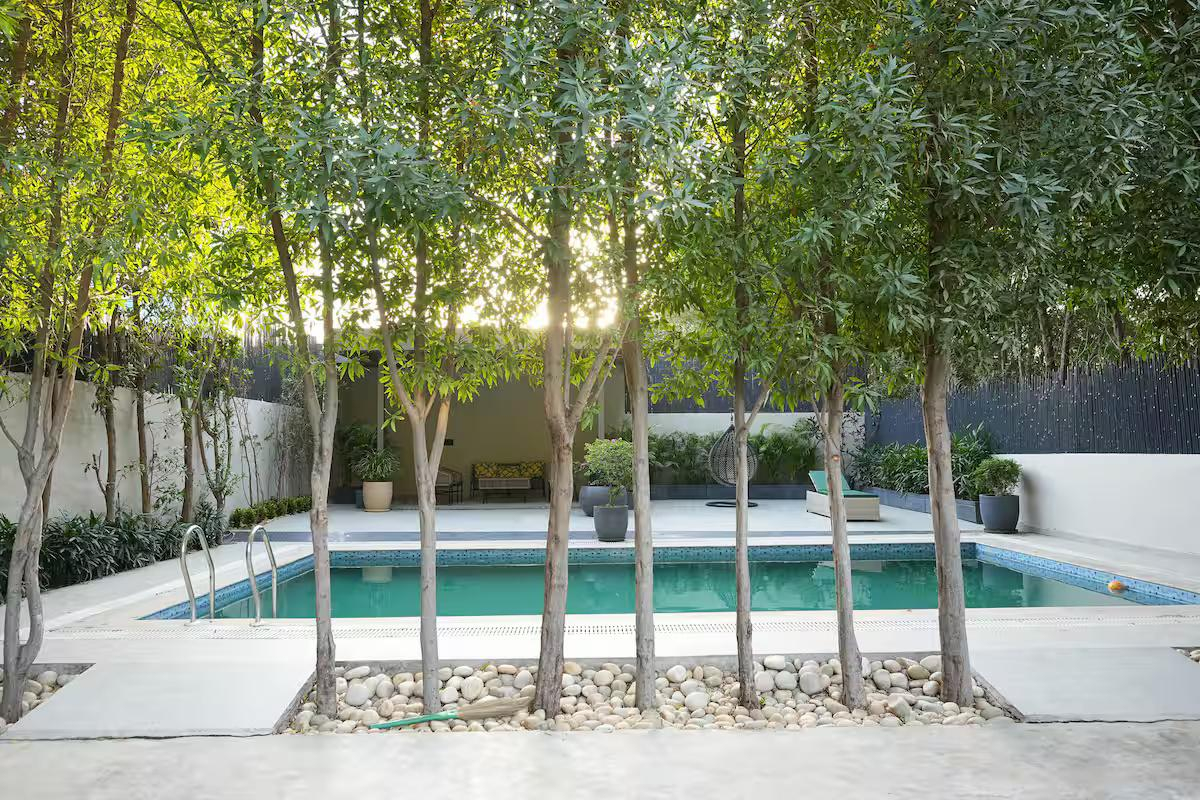 Nature’s Haven, Gurugram x Solis Nature