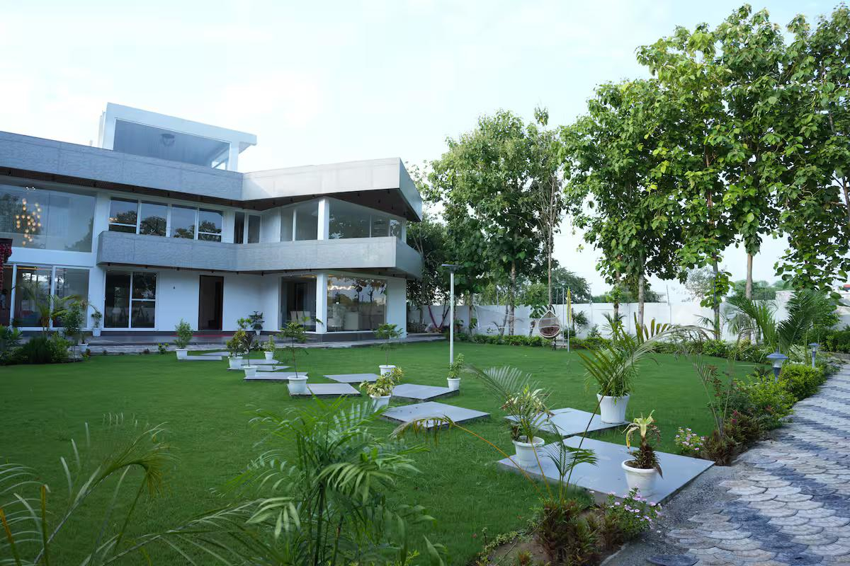 Modern Manor x Solis Nature
