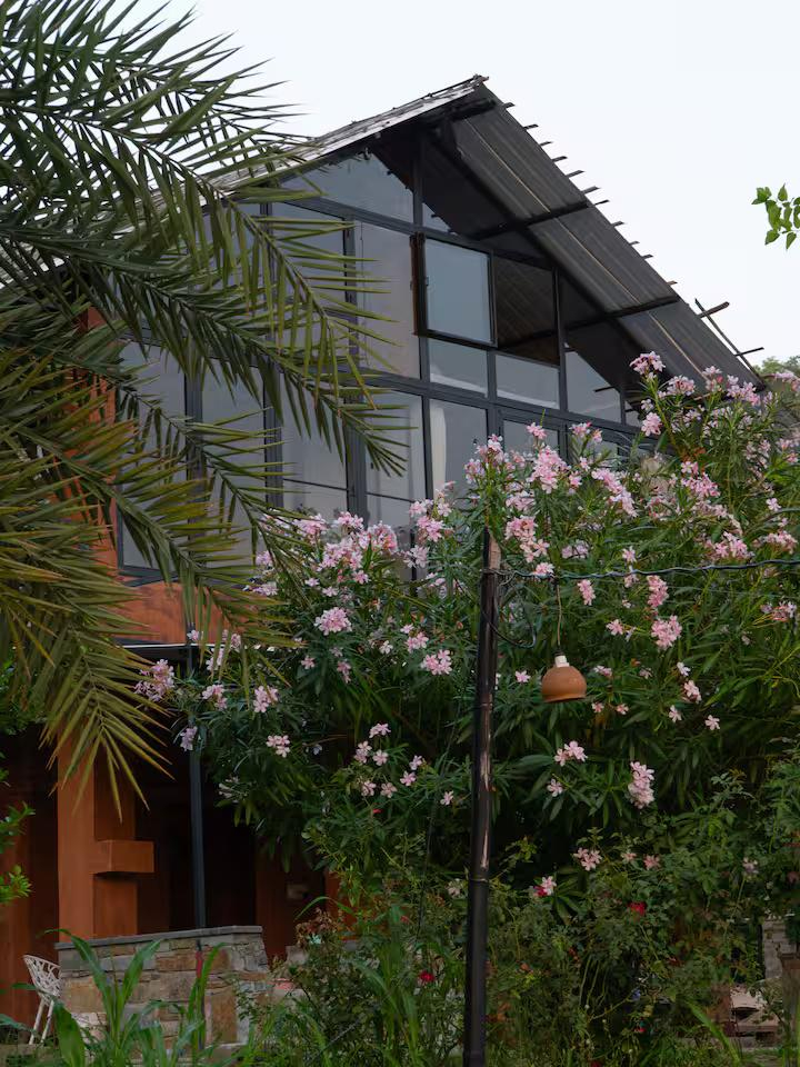 Udaipur Eco Stay Farm x Solis Nature