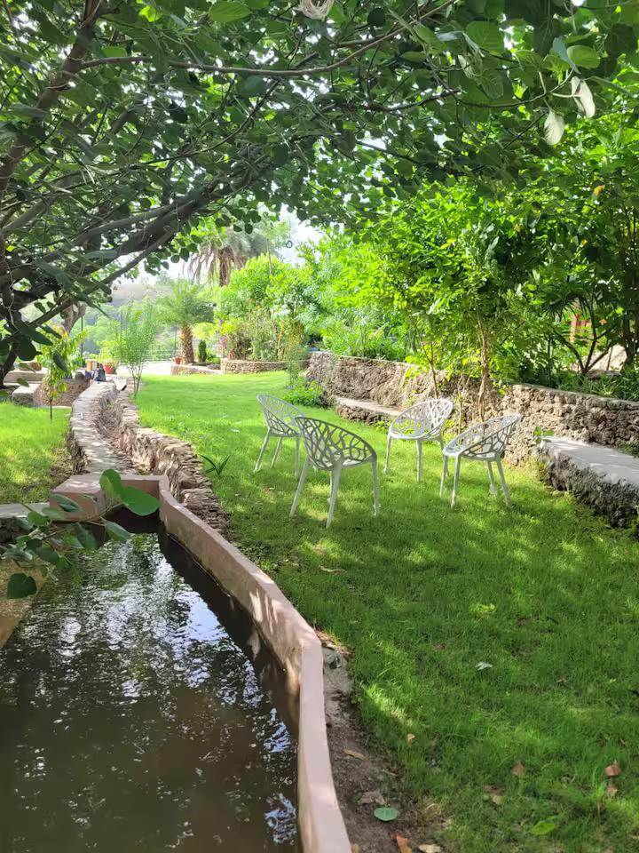 Udaipur Eco Stay Farm x Solis Nature