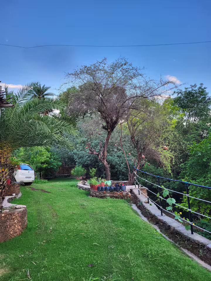 Udaipur Eco Stay Farm x Solis Nature