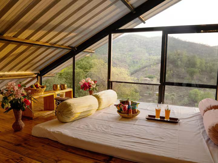 Udaipur Eco Stay Farm x Solis Nature