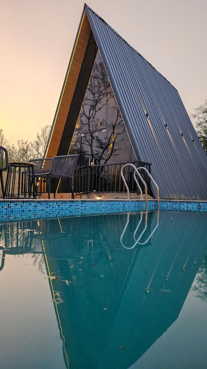 A-Frame Nest x Solis Nature