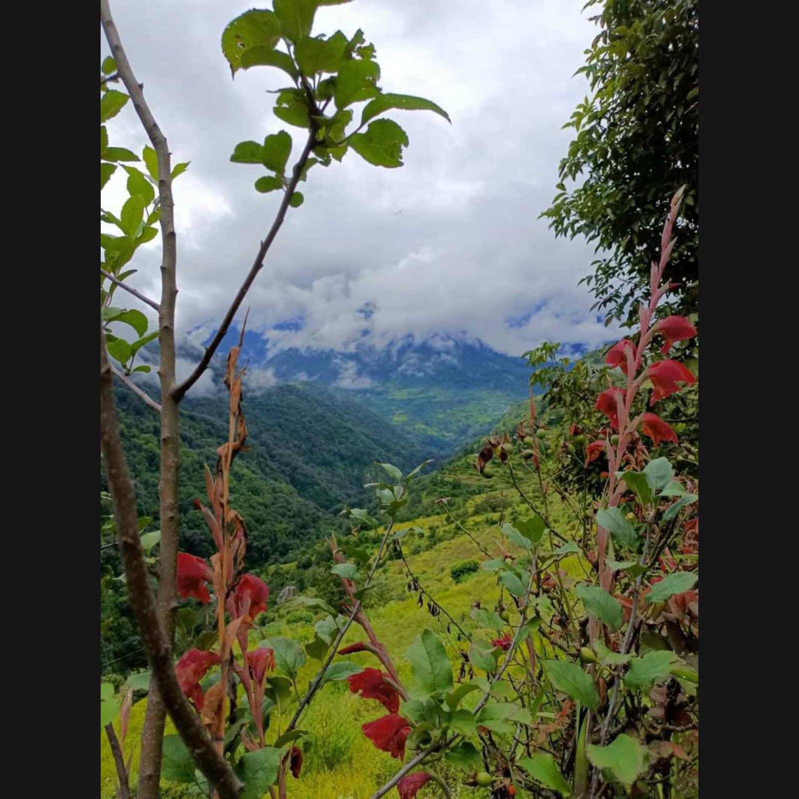 Bharat Homestay - The Native Himalayan x Solis Nature Bharat Homestay - The Native Himalayan x Solis Nature
