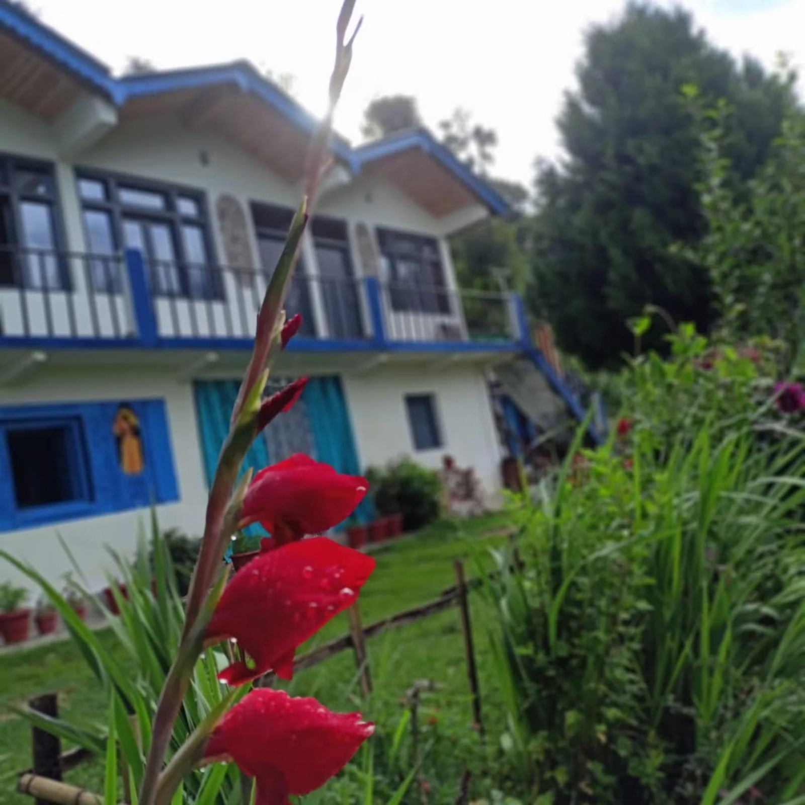 Bharat Homestay - The Native Himalayan x Solis Nature Bharat Homestay - The Native Himalayan x Solis Nature