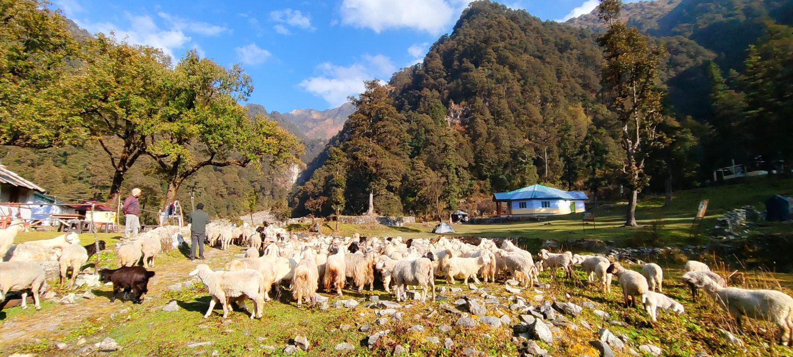 Bharat Homestay - The Native Himalayan x Solis Nature Bharat Homestay - The Native Himalayan x Solis Nature