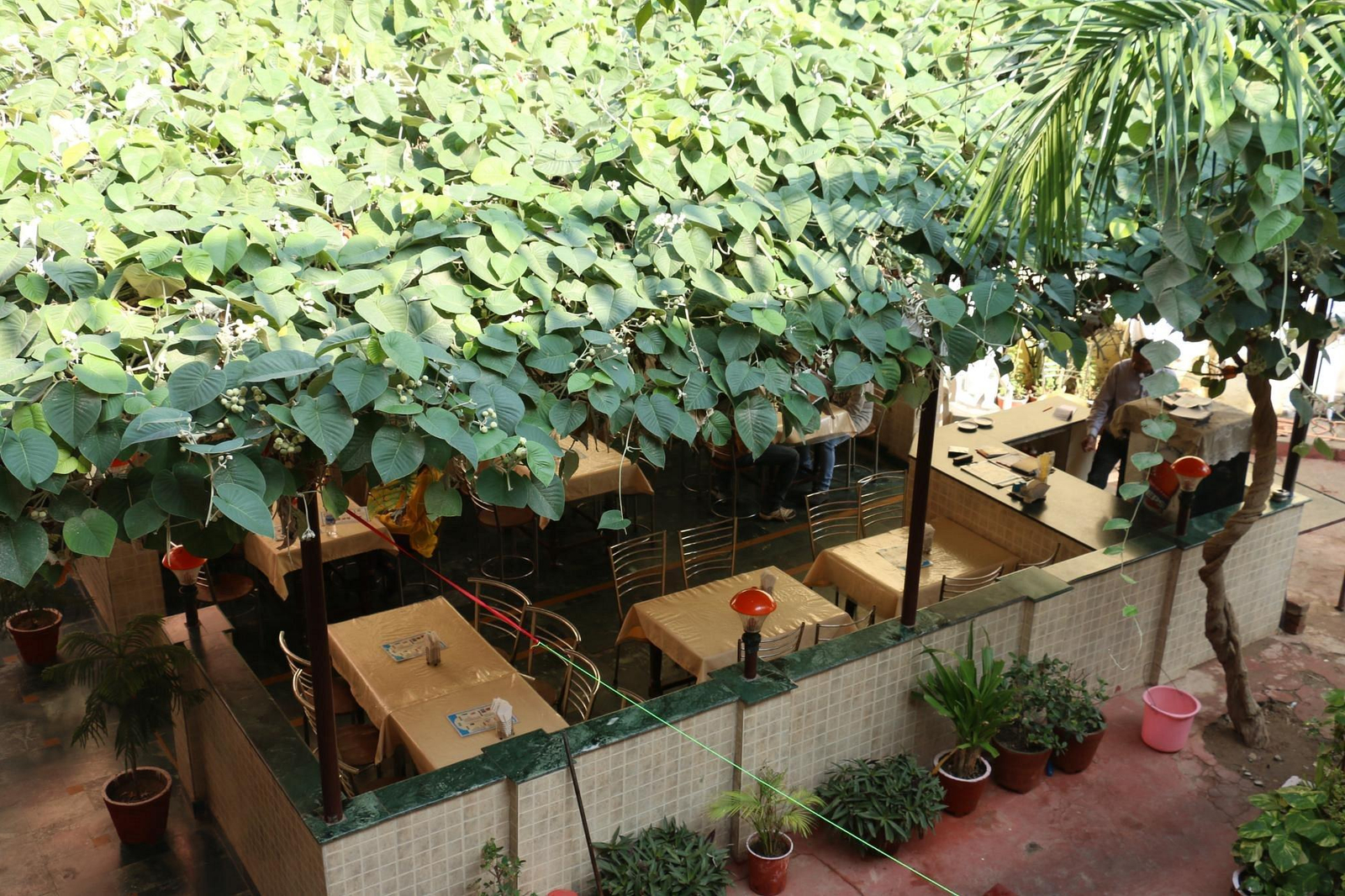 HOTEL SIDHARTHA x Solis Nature