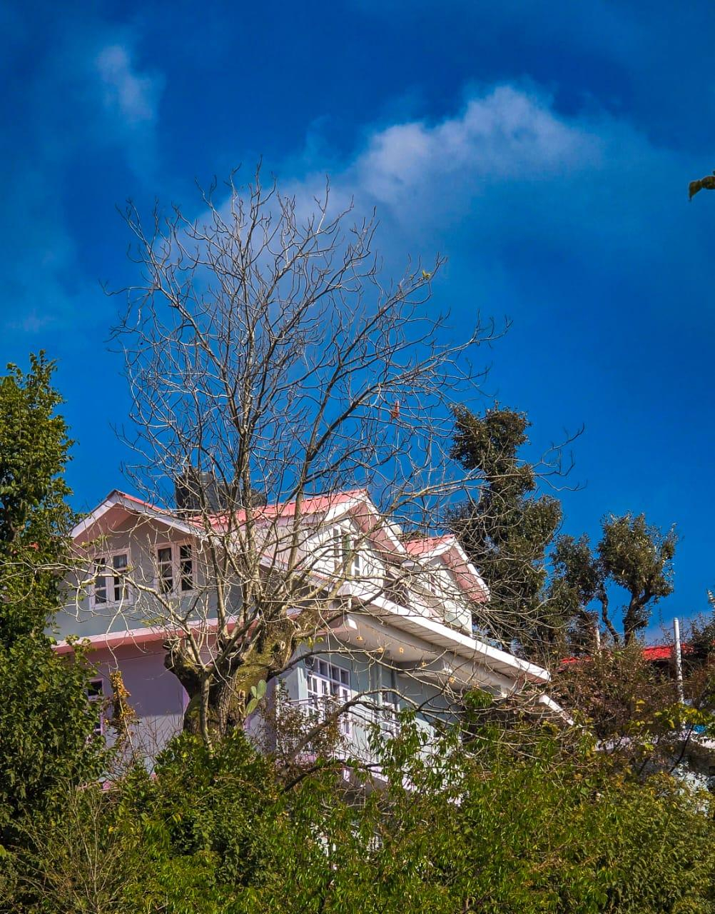 2BHK Farmstay In Shimla x Solis Nature