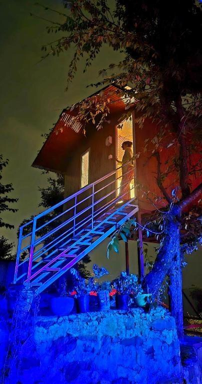 Tree House Shimla x Solis Nature