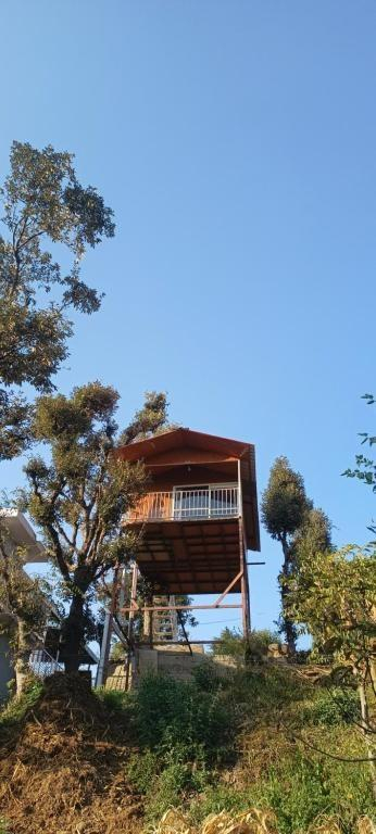 Tree House Shimla x Solis Nature