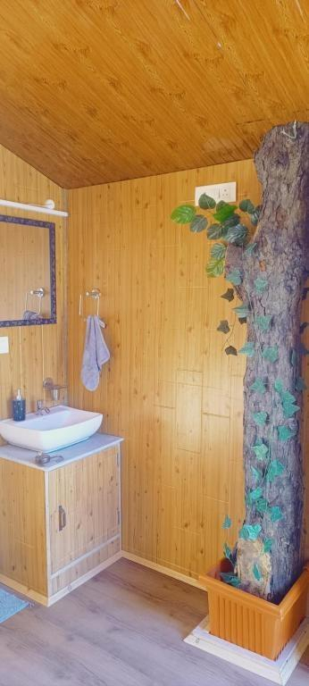 Tree House Shimla x Solis Nature