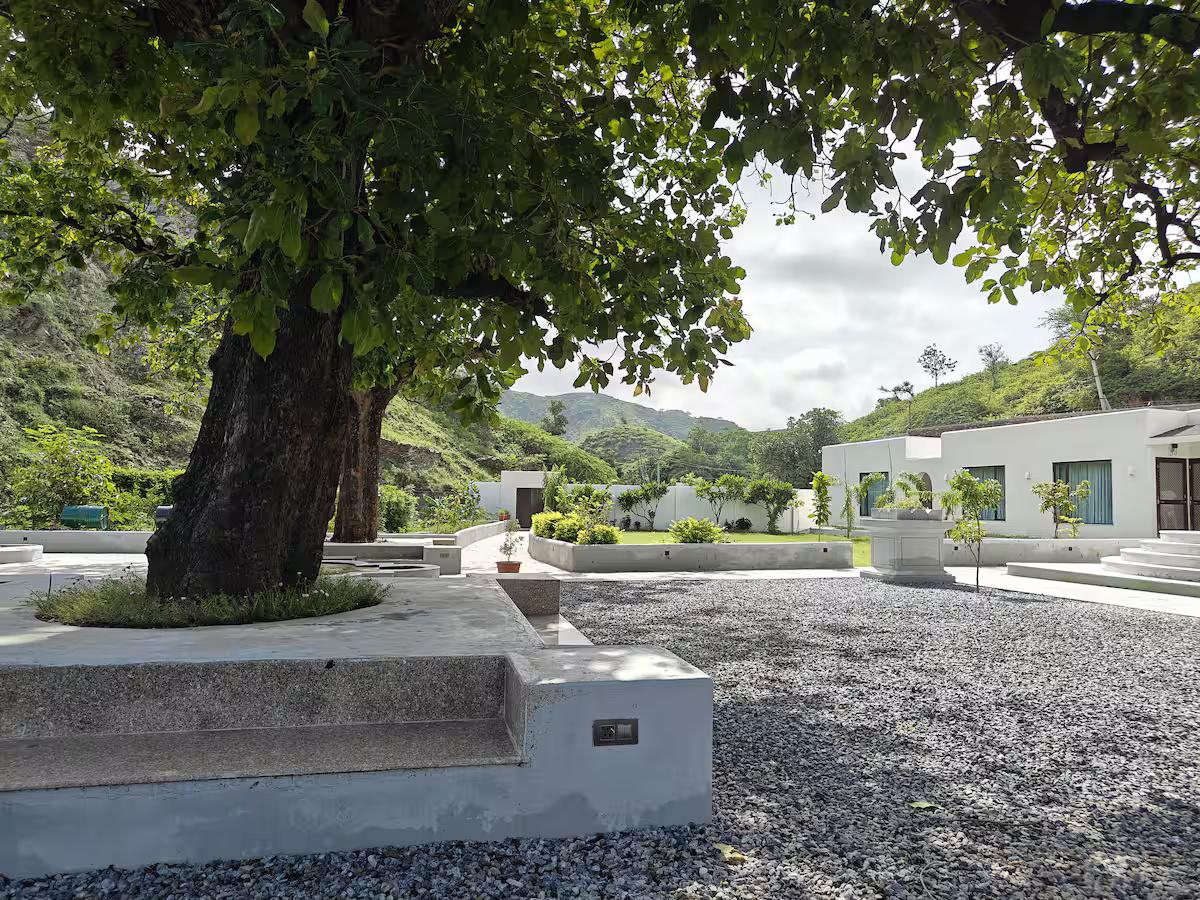 Mahua Homestay x Solis Nature