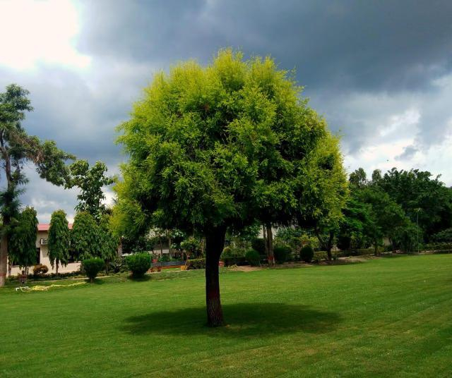 Maharani Executive Room with Jacuzzi x Solis Nature