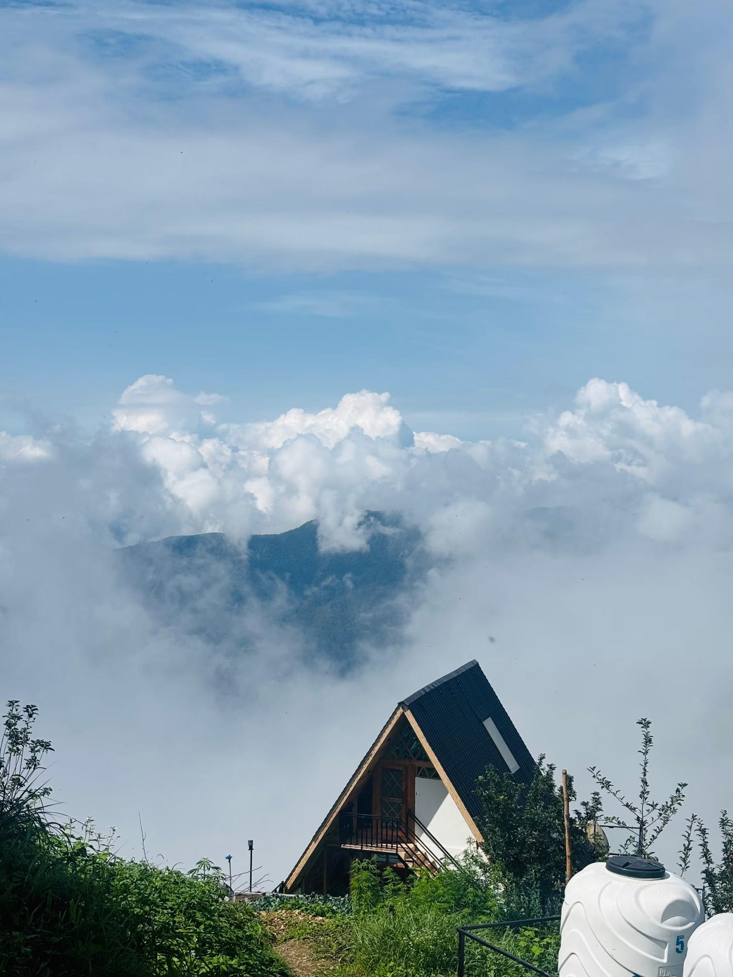 The Gable Gateway x Solis Nature