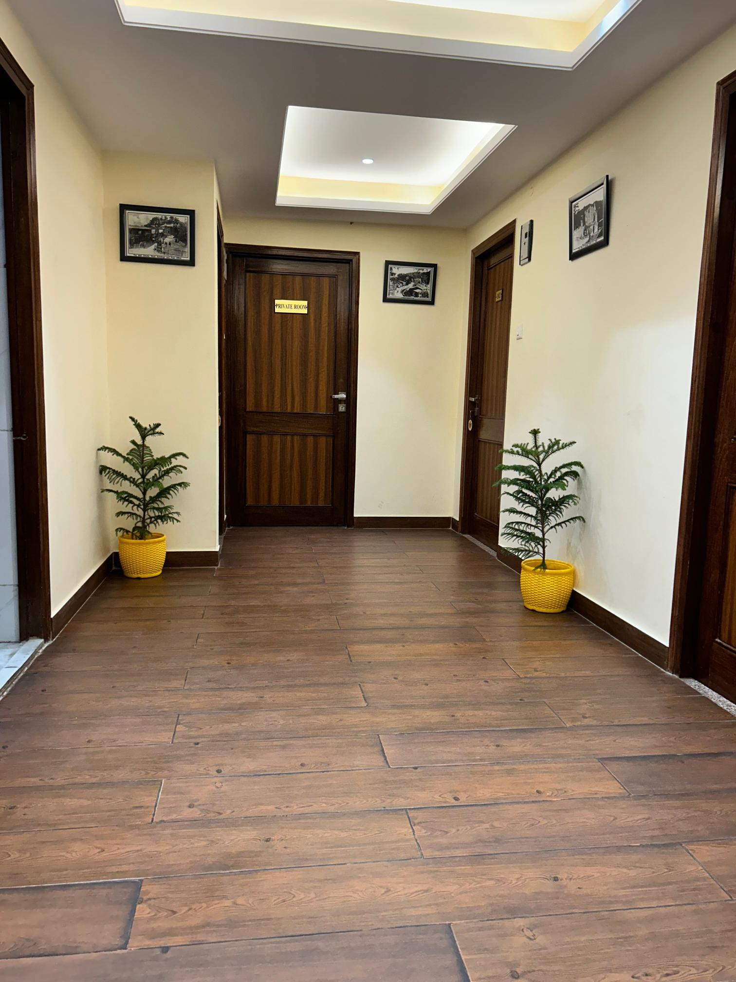 The Kaisha Himalayan View x Solis Nature