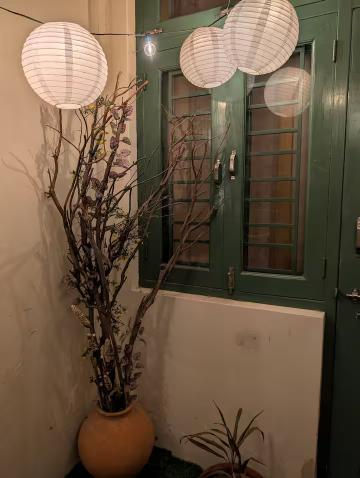 The Urban Haveli Agra x Solis Nature