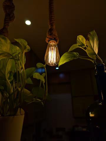 The Urban Haveli Agra x Solis Nature