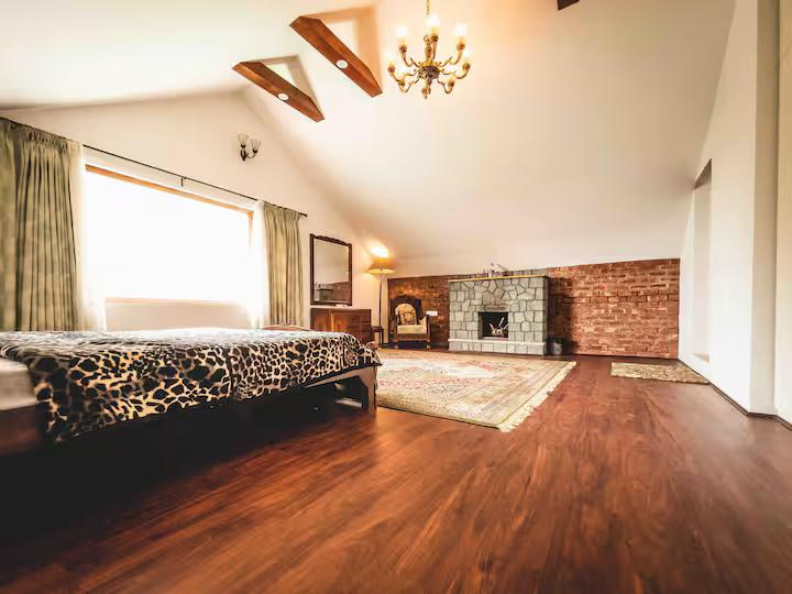 The Greystone x Solis Nature
