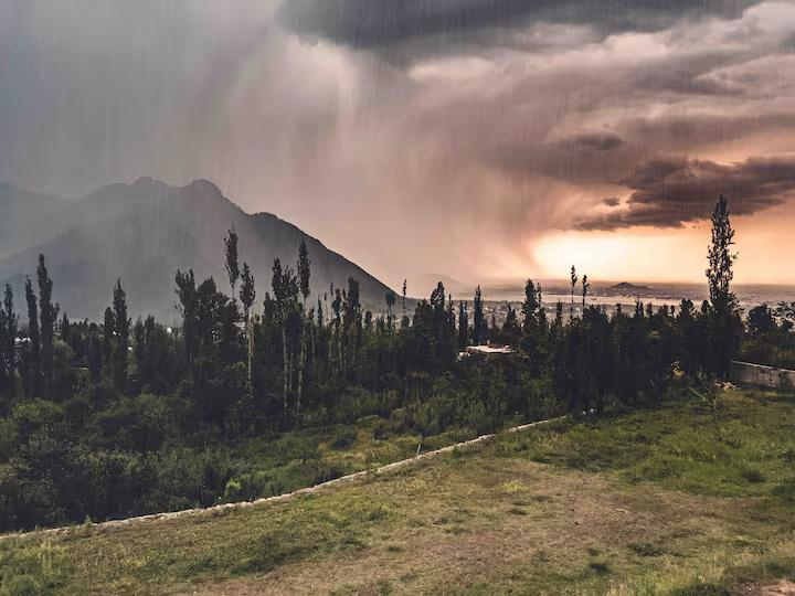 The Greystone x Solis Nature