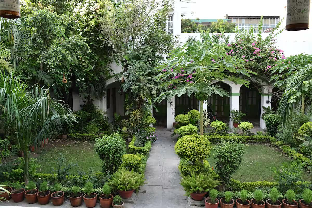 Nawab ki Deohri x Solis Nature