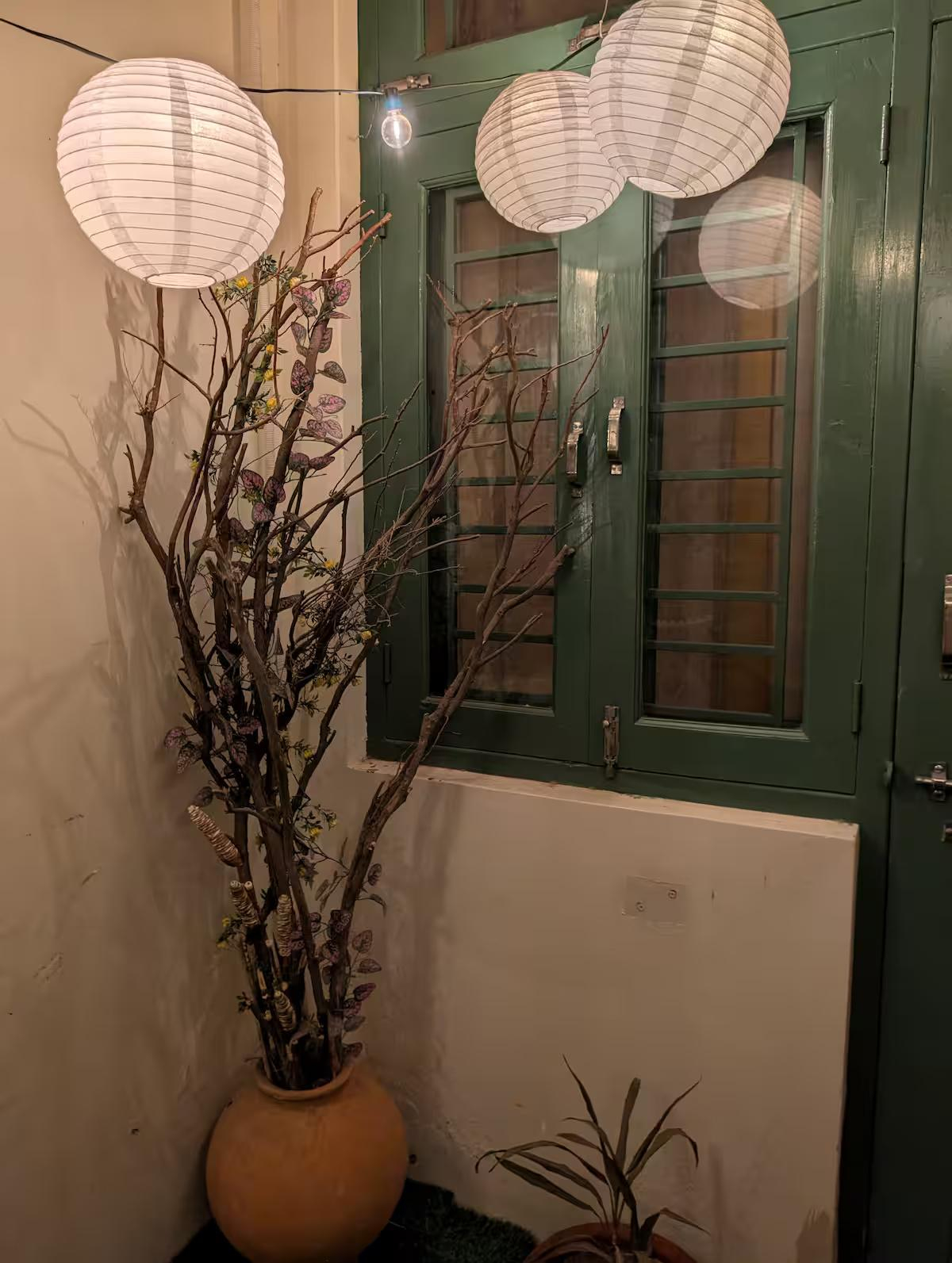 The Urban Haveli Agra x Solis Nature