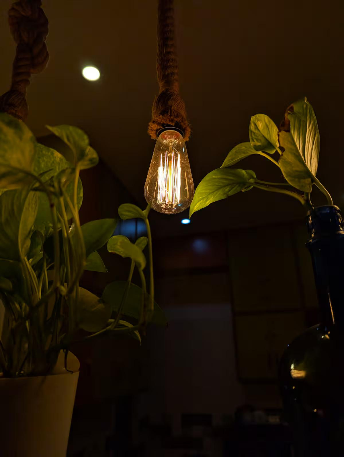 The Urban Haveli Agra x Solis Nature